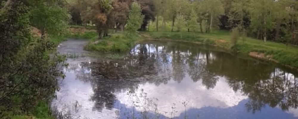 2012-05-05 13.06.59 vilam - bassa